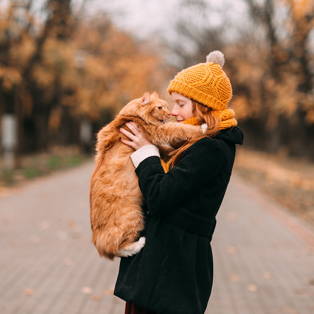 Navigating the Journey: Essential Cat Care Tips for First-Time Owners