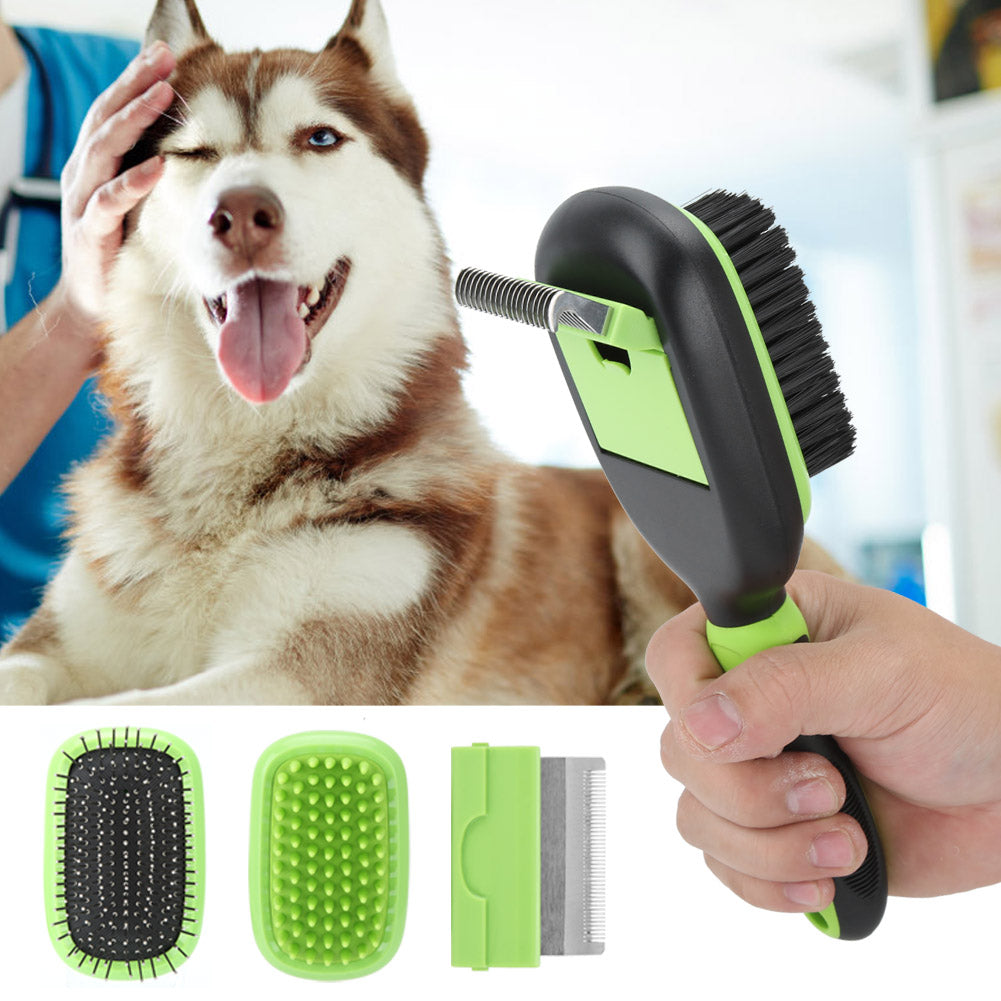 1 Pet Cleaning